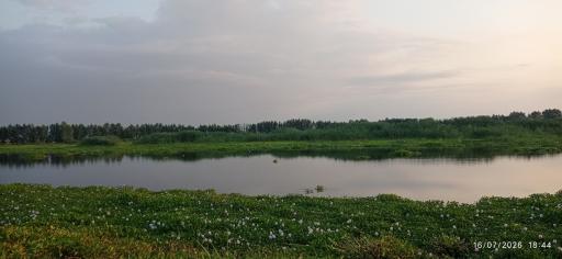 عکس آغوزبن