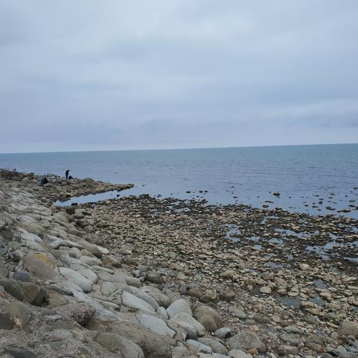 عکس ساحل خلج رامسر