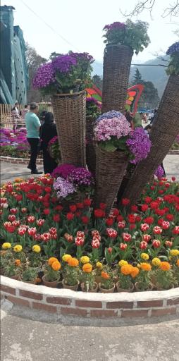 عکس آبشار مصنوعی ناهارخوران