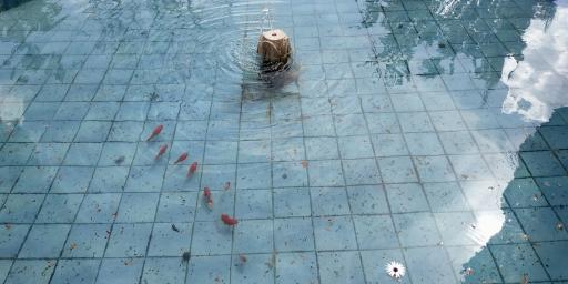 عکس عمارت تاریخی شریف