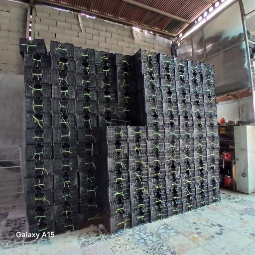 عکس کارگاه سبد زنی مهدی خلیلیان 