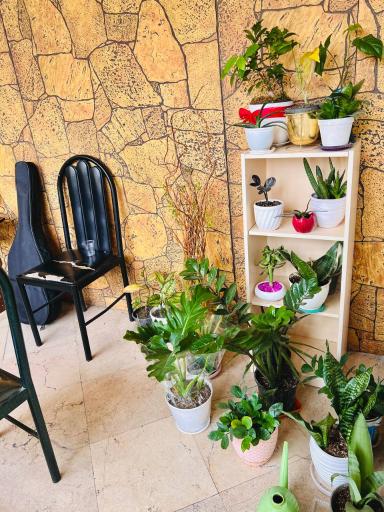 عکس آموزشگاه موسیقی نوای نی