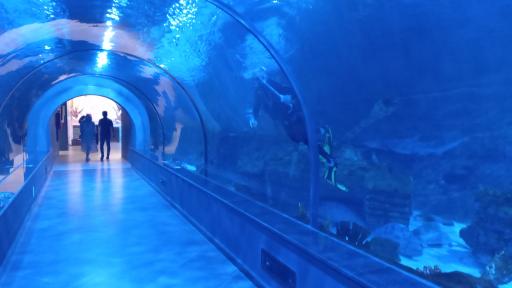 عکس مرکز خرید کاسپین