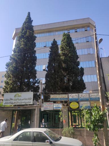 مطب دکتر سعید توکلی