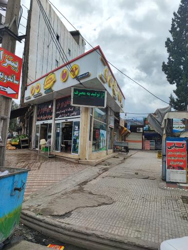 عکس پروتئینی شاهین مهر خزر