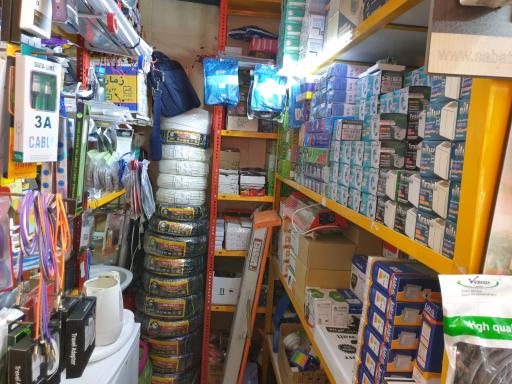 عکس الکتریکی امیر