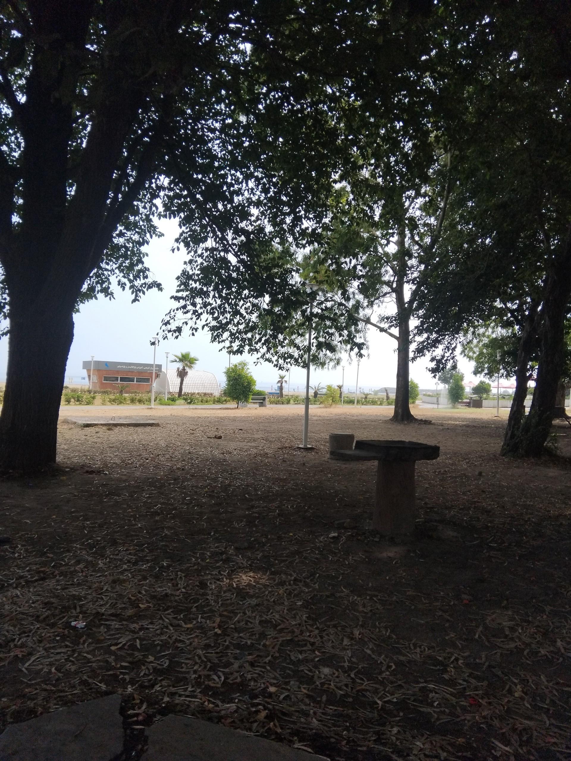 عکس کاسپین