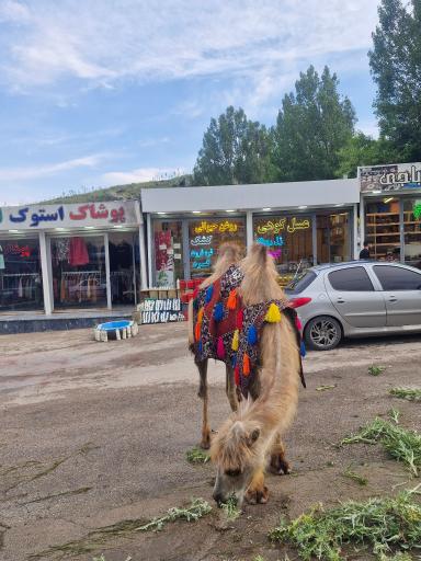 عکس مجموعه کوهستانی آلوارس مهرگان اردبیل