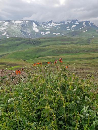 عکس مجموعه کوهستانی آلوارس مهرگان اردبیل