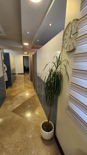 عکس کلینیک فیزیوتراپی دکتر عالیه زنده دل