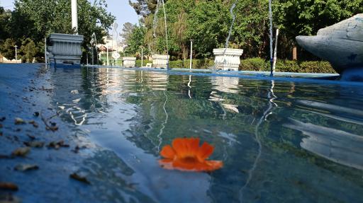 عکس بوستان نجمه