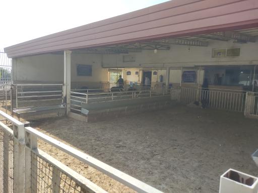 عکس مرکز عرضه دام زنده حکیمیه