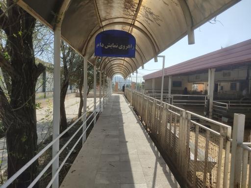 عکس مرکز عرضه دام زنده حکیمیه