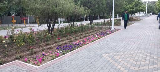 عکس بوستان نجمه