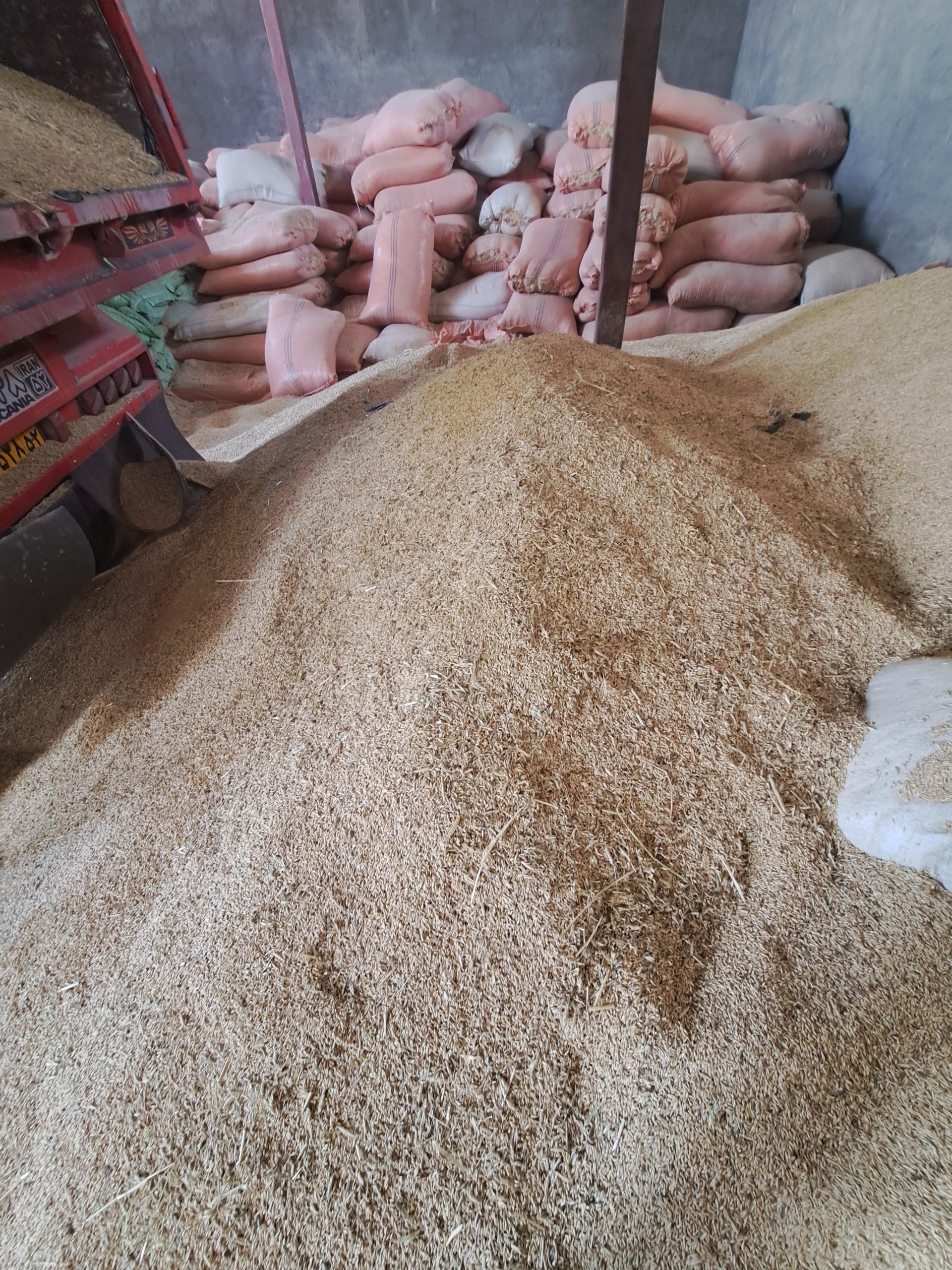 عکس شرکت تعاونی عشایر