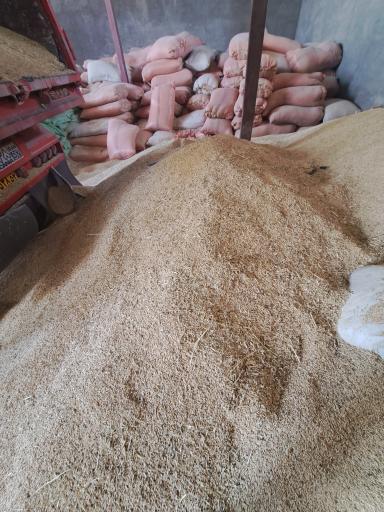 عکس شرکت تعاونی عشایر