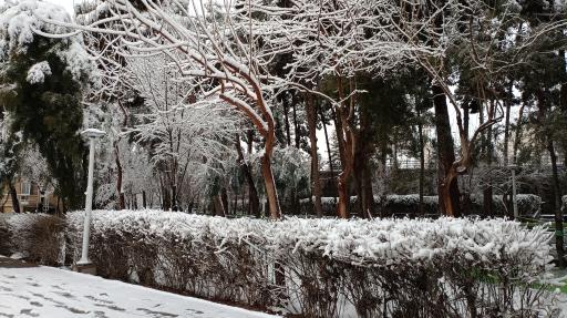 عکس بوستان نجمه