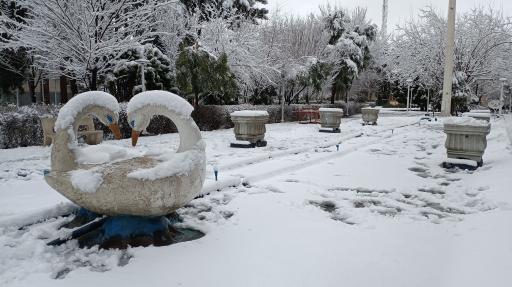 عکس بوستان نجمه