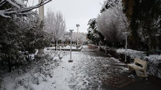 عکس بوستان نجمه