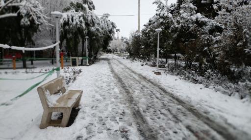 بوستان نجمه