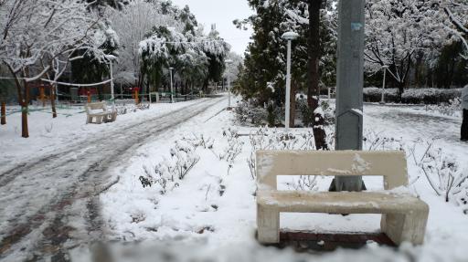 عکس بوستان نجمه