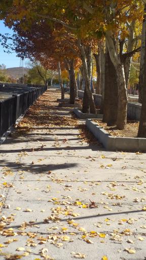 عکس گرداب بن