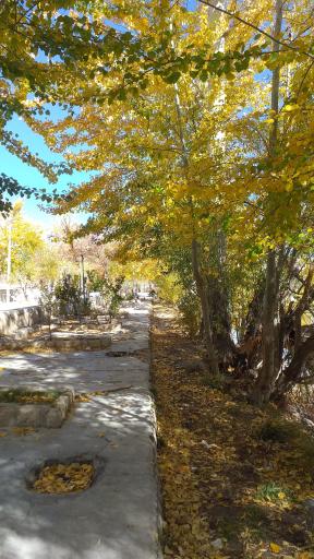 عکس گرداب بن