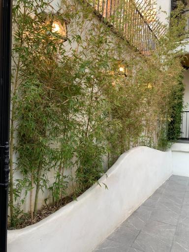 عکس کافه رستوران هاویر