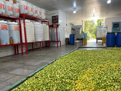 عکس عرقیات و خشکبار شهر راز