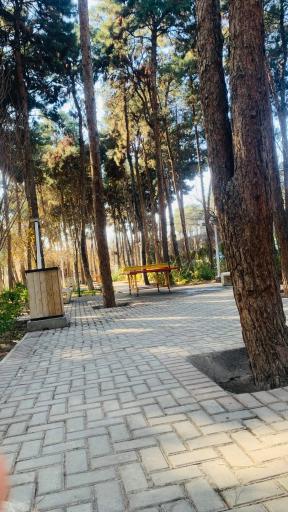 عکس بوستان نجمه