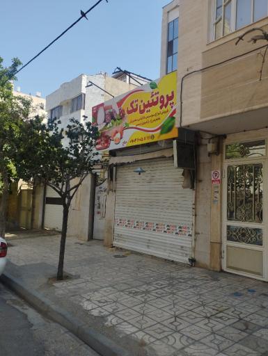 عکس پروتئین تک