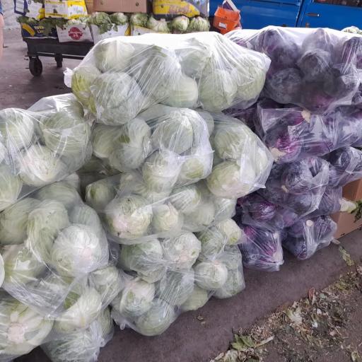 عکس بارفروشی هنرکار