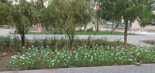 عکس بوستان نجمه