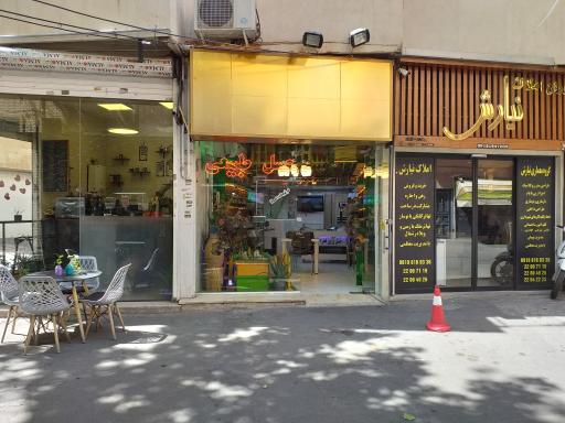 عکس عسل زرین فخرا 