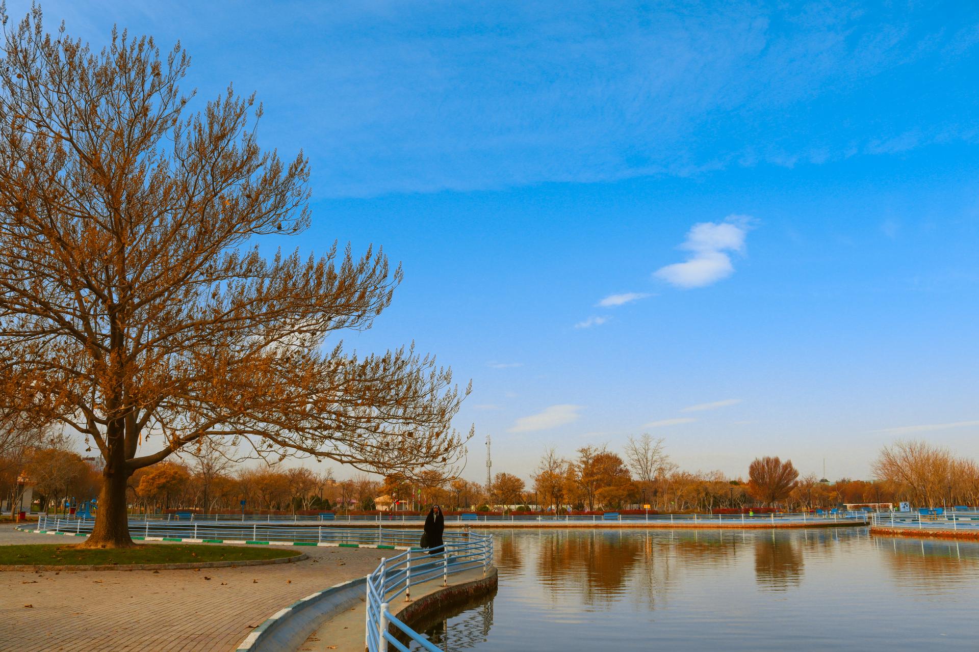 عکس بوستان ارم