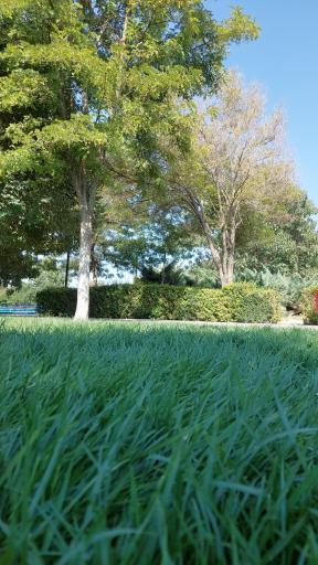 عکس بوستان ارم