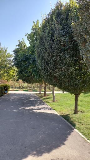 عکس بوستان ارم