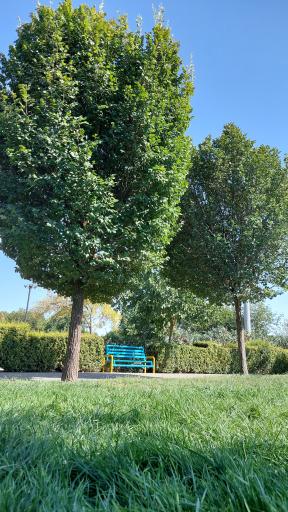 عکس بوستان ارم