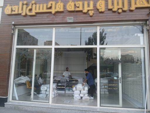 عکس شهر زبرا و پرده محسن زاده