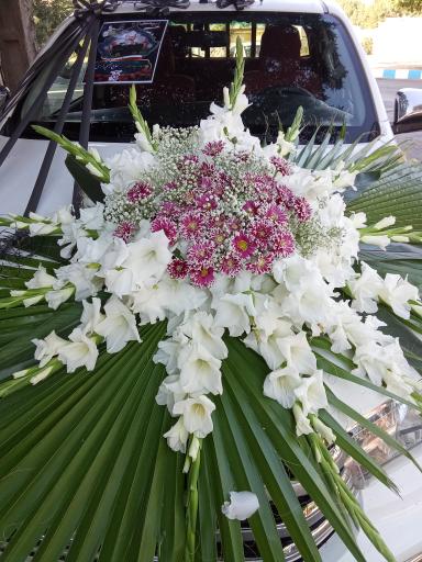 عکس گلسرای ایلیا