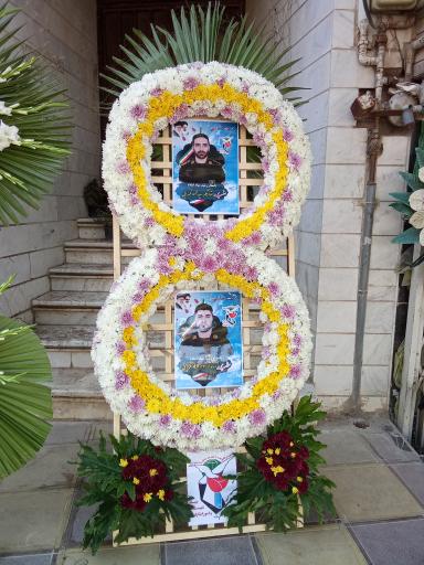 عکس گلسرای ایلیا