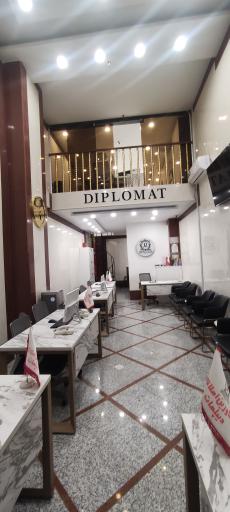 عکس مشاورین املاک دیپلمات