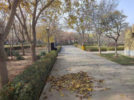 عکس بوستان ارم