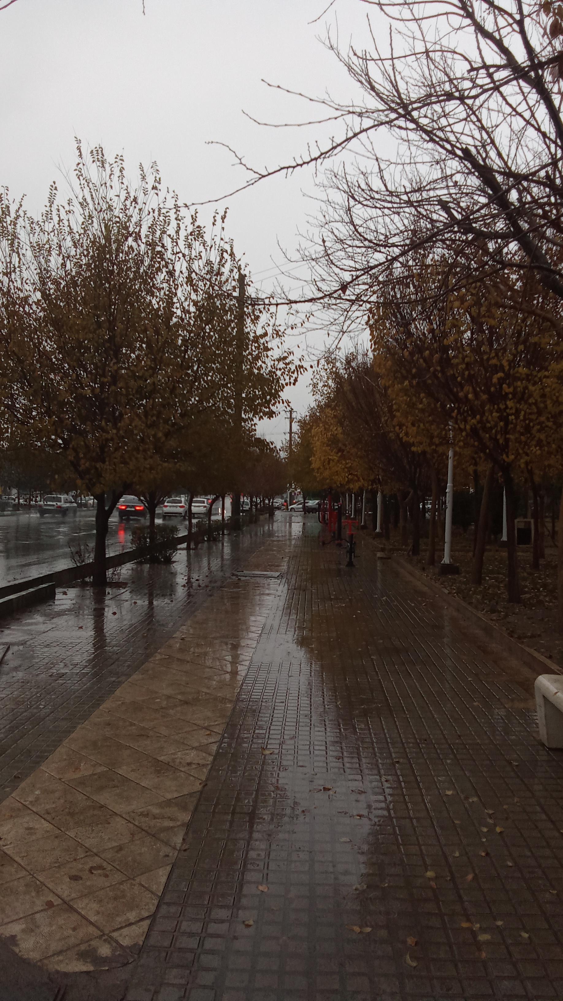 عکس بوستان نور
