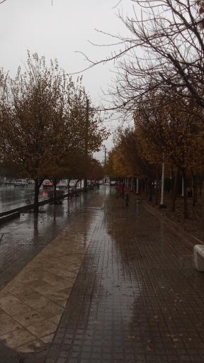 عکس بوستان نور