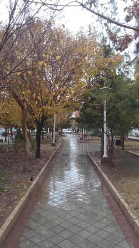عکس بوستان نور