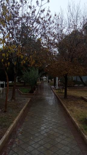 عکس بوستان نور
