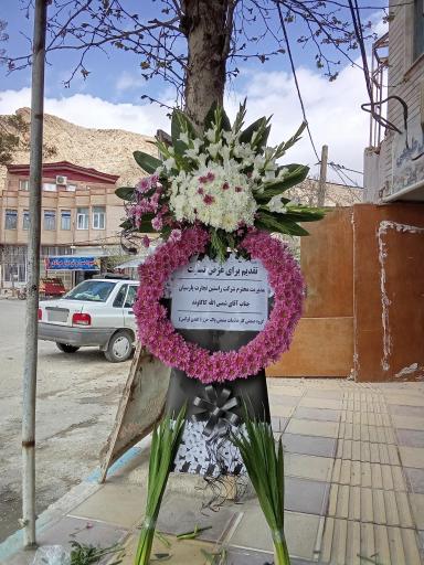 عکس گلسرای ایلیا