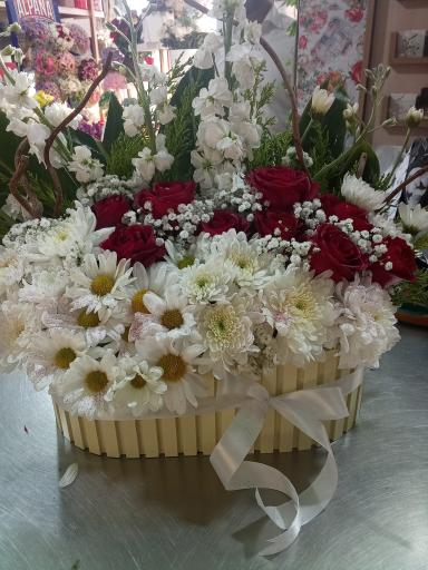 عکس گلسرای ایلیا