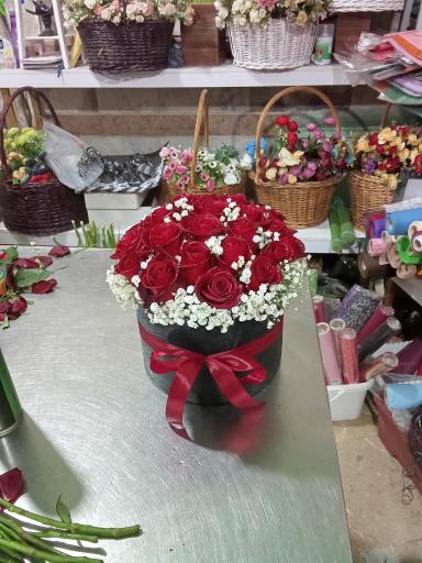 عکس گلسرای ایلیا